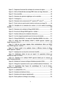 Échelles et espace des caractéristiques pour le traitement d'images