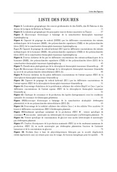 Potentiel biotechnologique des microalgues extremophiles tunisiennes