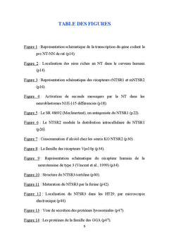 Système neurotensinergique et cancer