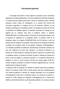 L'acquisition du fer chez les bactéries à gram négatif