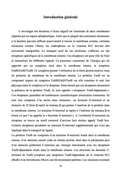 L'acquisition du fer chez les bactéries à gram négatif