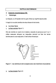 Les fractures fraîches de la scapula