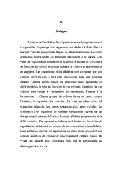 Signalisation cellulaire et transcription dans l'oncogenèse
