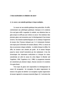 Signalisation cellulaire et transcription dans l'oncogenèse