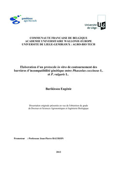 Sauvetage in vitro d'embryons globulaires dans le genre phaseolus