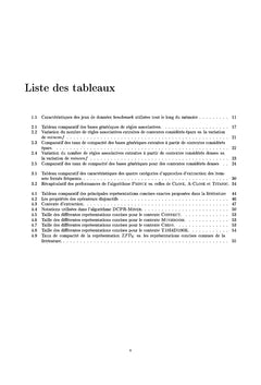 Bases génériques de règles d'association