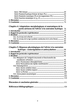 L'olivier (olea europaea l.) et la sécheresse
