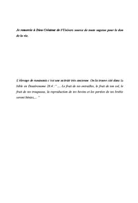Insémination artificielle ovine