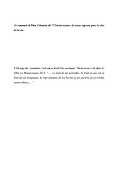 Insémination artificielle ovine