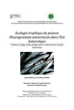 Ecologie trophique du poisson P. antarcticum dans l'Est Antarctique