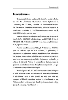 Interactions entre Helicobacter pylori et les cellules gastriques