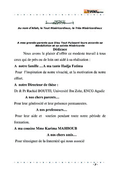 Vade-mecum du management de la stratégie de la firme agile in vivo