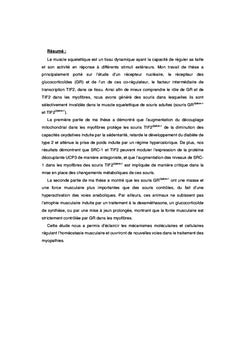 Biologie moléculaire du muscle squelettique chez la souris