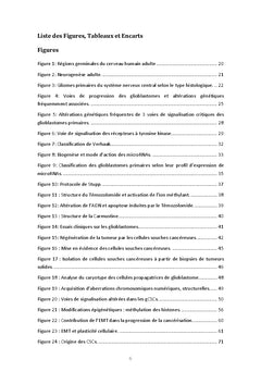 Recherche de biomarqueurs des cellules propagatrices de glioblastome