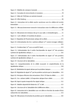 Recherche de biomarqueurs des cellules propagatrices de glioblastome
