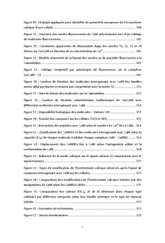 Recherche de biomarqueurs des cellules propagatrices de glioblastome
