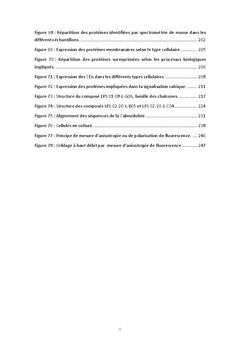 Recherche de biomarqueurs des cellules propagatrices de glioblastome