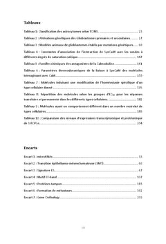 Recherche de biomarqueurs des cellules propagatrices de glioblastome