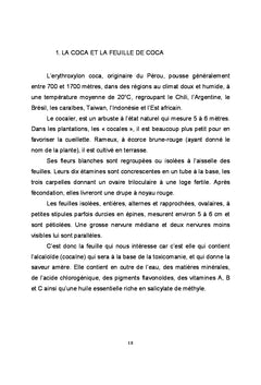 Intoxication à la coca ne