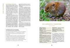 Créer un jardin vivant - Accueillir la biodiversité et s'allier à la faune sauvage