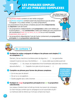 Vive le CM2
