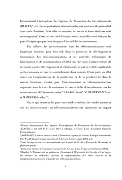 Les Investissements dans les NTIC aux Pays Euro-méditerranéens