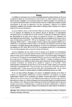Synthèse du chitosane à partir de la chitine