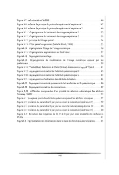 Application à l'évaluation de la couleur et de la texture au cours de la maturation de la banane
