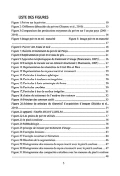 Évaluation des caractéristiques morphologiques du poivre de Penja au Cameroun