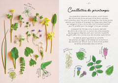 Le carnet de recettes d'une cueilleuse