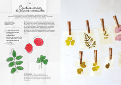 Le carnet de recettes d'une cueilleuse