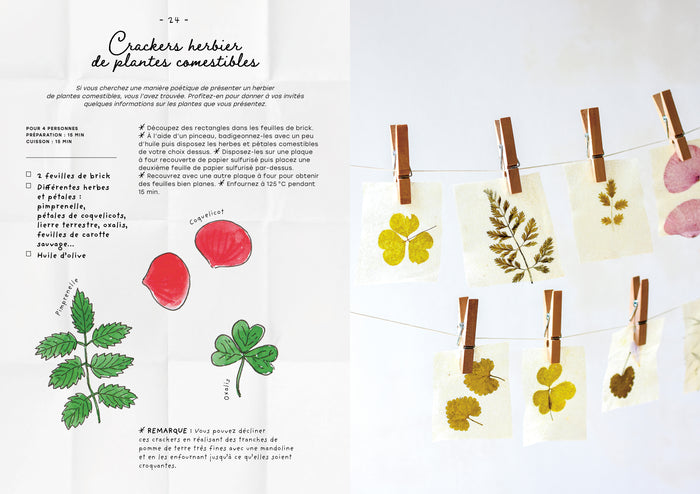 Le carnet de recettes d'une cueilleuse