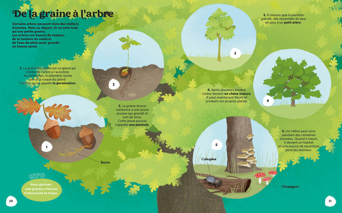 Les merveilles de la nature