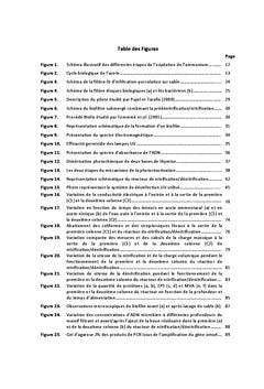 Performance d'un biofiltre pour le traitement des eaux usées