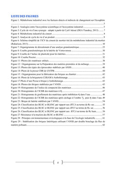 Valorisation des laterites par ANSS en briques stabilisees