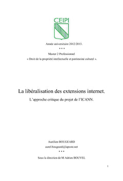 La libéralisation des extensions internet