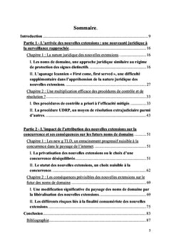 La libéralisation des extensions internet