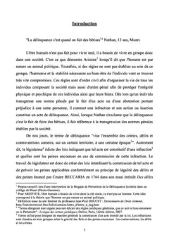 La prévention de la délinquance en Haute-Garonne