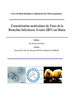 Caractérisation moléculaire de l'ibv au maroc