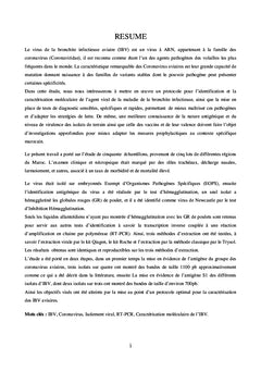 Caractérisation moléculaire de l'ibv au maroc
