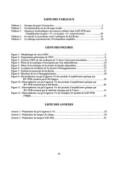 Caractérisation moléculaire de l'ibv au maroc