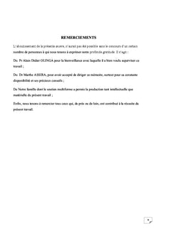 La responsabilite du personnel des Nations Unies dans le cadre des OMP
