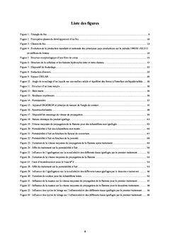 Application d'un traitement d'ignifugation pour un article textile