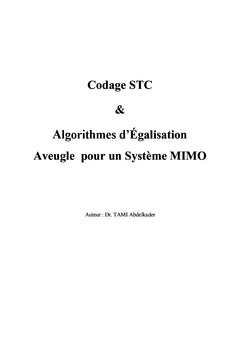 Codage STC & Algorithmes d'egalisation Aveugle pour un systeme MIMO