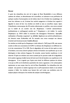 Essai de caracterisation des actinomycetes dans la wilaya de ouargla