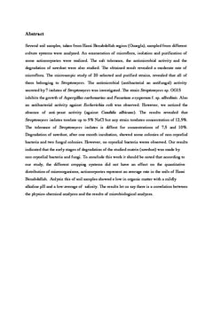 Essai de caracterisation des actinomycetes dans la wilaya de ouargla