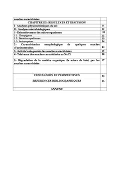 Essai de caracterisation des actinomycetes dans la wilaya de ouargla