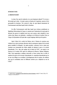 Les Nations Unies, la paix et les élections en RDC