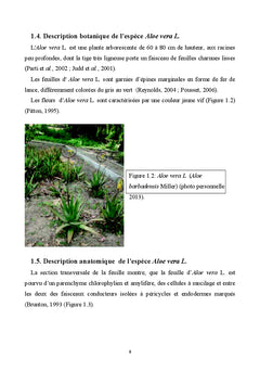 Caractérisation, extraction et valorisation des principes actifs