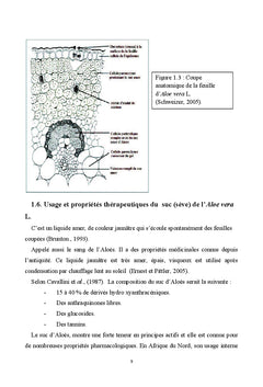 Caractérisation, extraction et valorisation des principes actifs